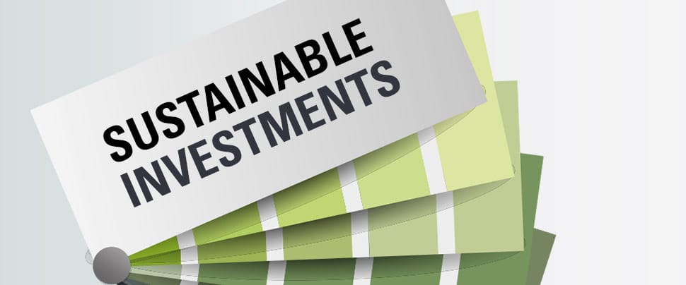 sustainability investment